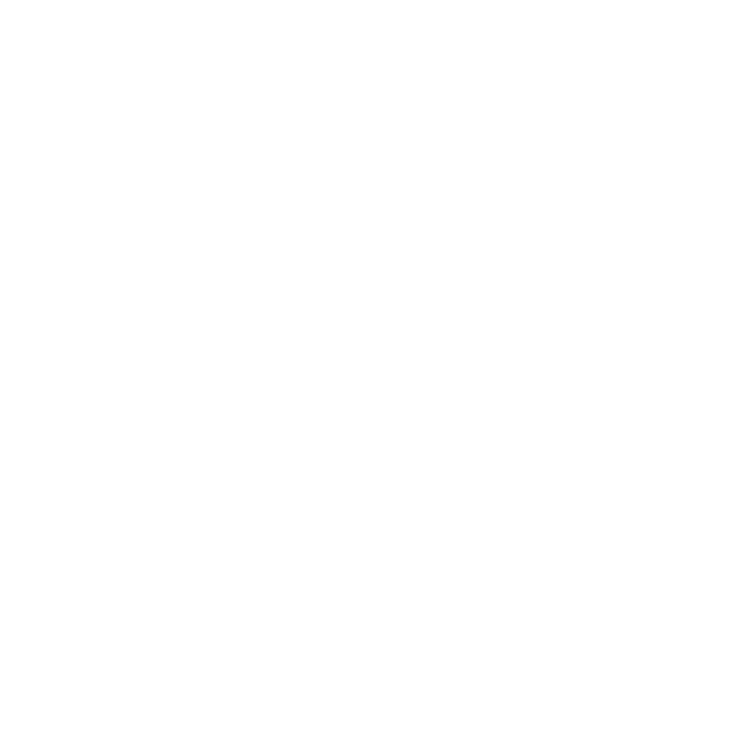 Maine International Film Festival